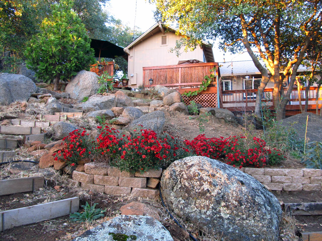 lower garden